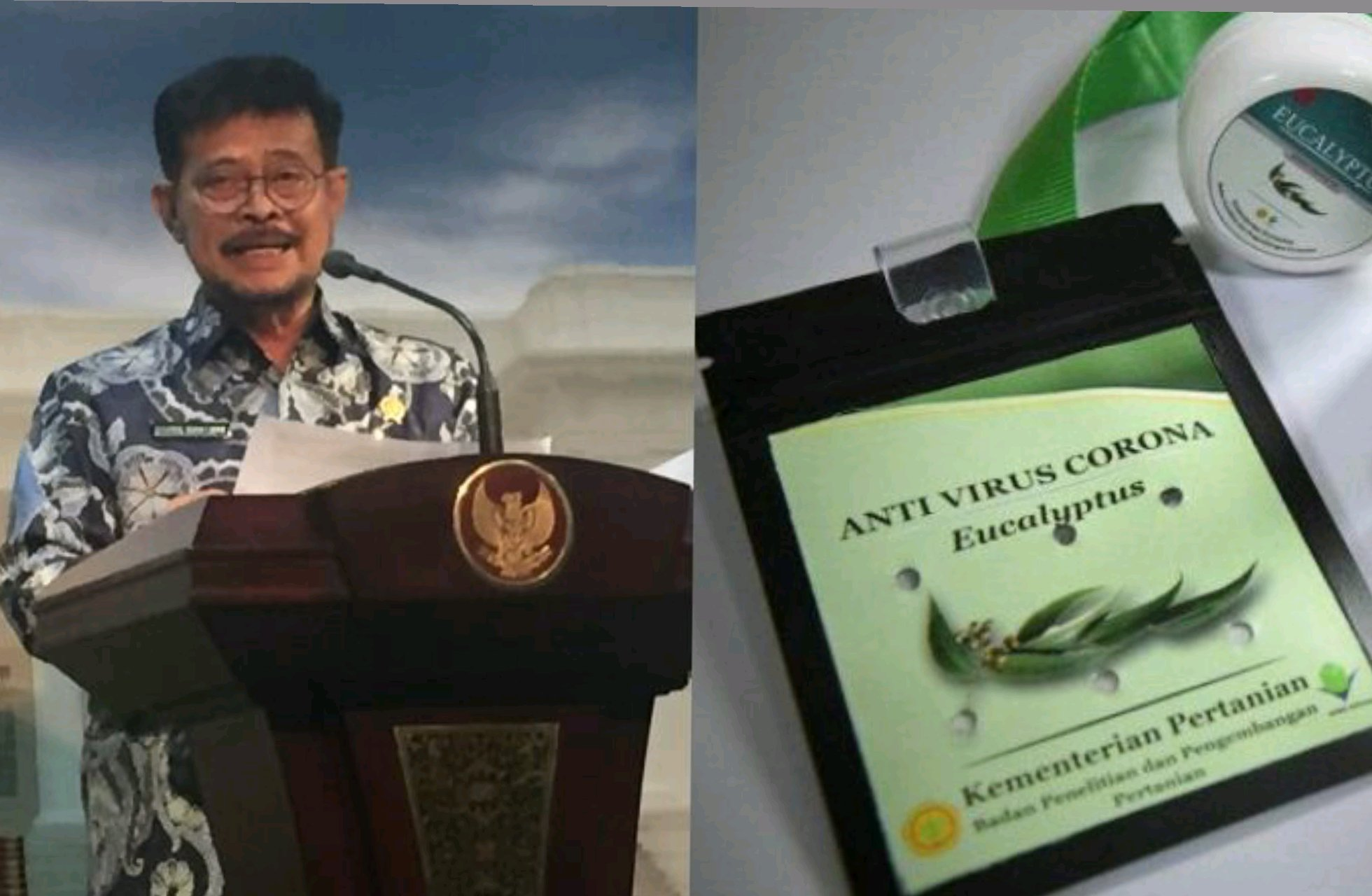 Kementan Sebut Kalung Antivivirus Corona Hanya Jamu
