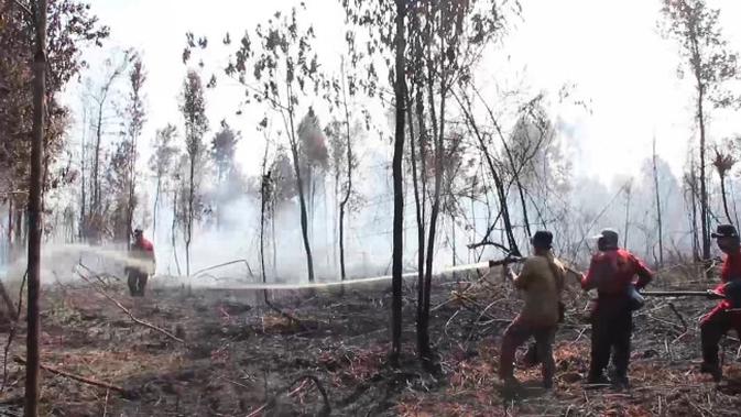 Ratusan Hektare Lahan Cagar Biosfer Giam Siak Kecil Riau Terbakar