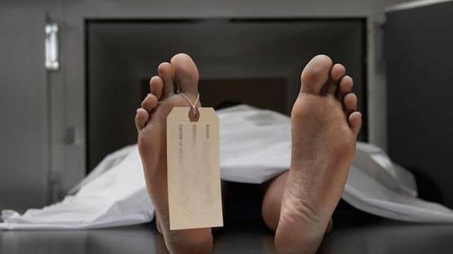 Murid SD Kabupaten Rohil Diperkosa dan Dibunuh di Kebun Sawit