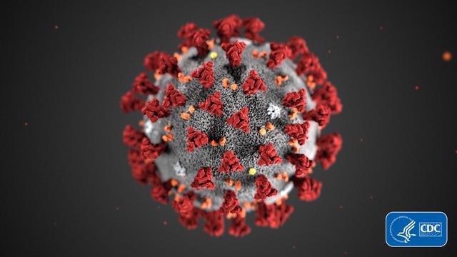 Belanda Temukan Virus Corona di Air Selokan