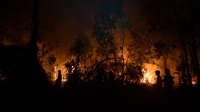 BMKG: 7 Wilayah di Riau Ini Rawan Karhutla