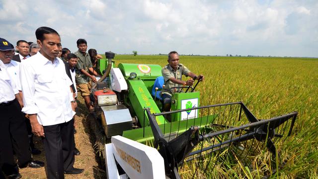 Jokowi Haruskan Bulog Beli Gabah dari Petani