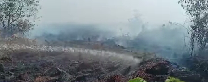 BMKG Deteksi 31 Titik Api di Riau, Terbanyak Dumai