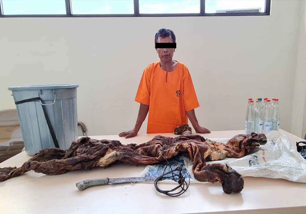 Ditreskrimsus Polda Riau Ungkap Penjualan Kulit Harimau di Kuansing