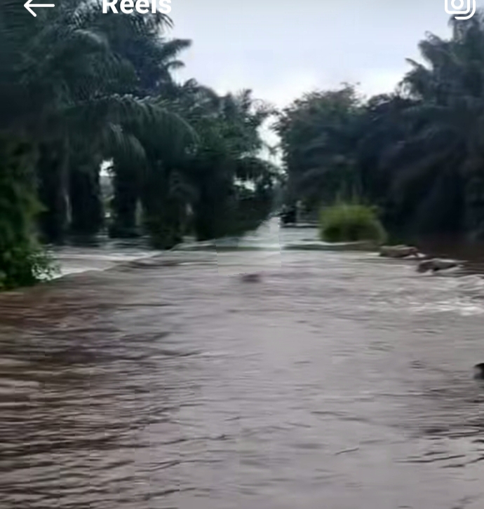 Banjir Rendam Ribuan Hektar Kebun Hingga Fasilitas Umum di Riau