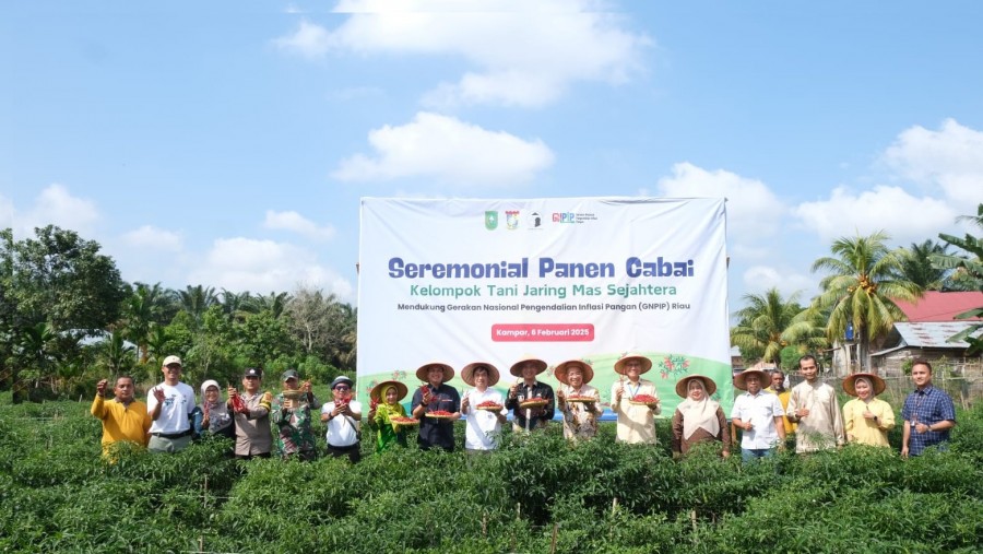 Dukung Program GNIP, BI Riau Panen Perdana Komoditas Cabe Merah di Kampar