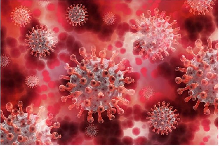 Kasus Infeksi Corona Global Tenembus 20,2 Juta, 2 Kali Lipat dalam 6 Pekan