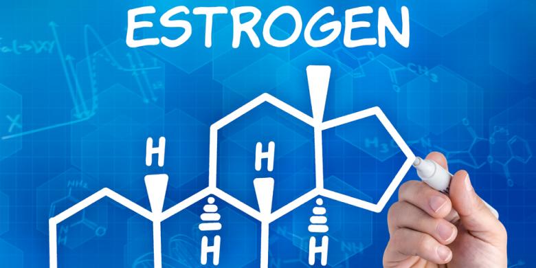 Kenali Makanan yang mampu Menekan Kadar Estrogen pada Pria