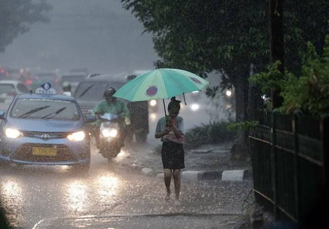 BMKG: Waspada Cuaca Ekstrem di Riau, Hujan, Petir dan Angin Kencang