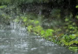 Cek Wilayah Riau yang Berpotensi Hujan Hari Ini