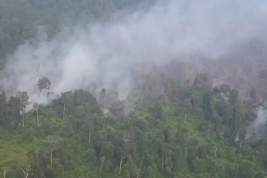 Hotspot Riau Capai 246 Titik, Asap Masih Selimuti Sejumlah Wilayah