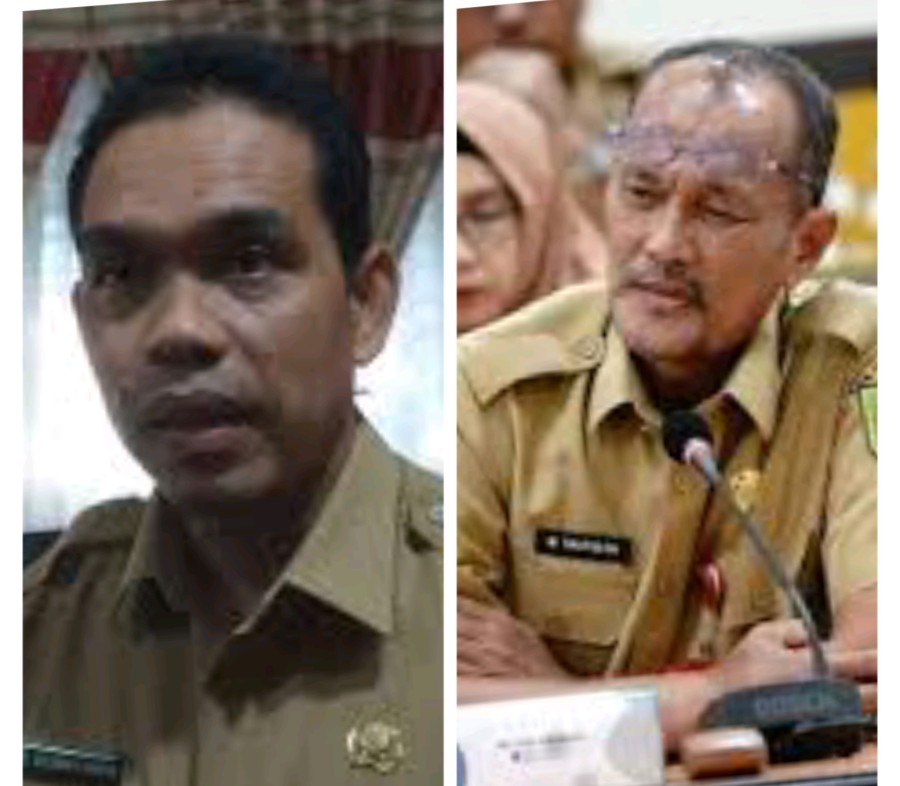 Ini Kata Pengamat Pemerintahan dan Politik Riau Soal Calon Sekdaprov