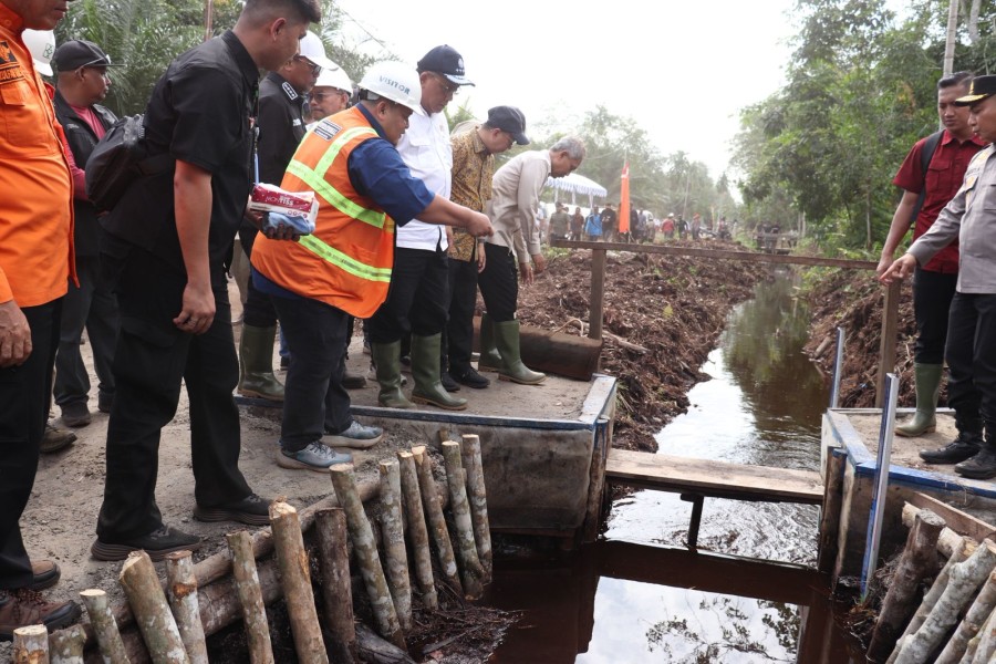Menteri LH Apresiasi Penguatan Sekat Kanal dan Pembasahan Gambut Cegah Karhutla