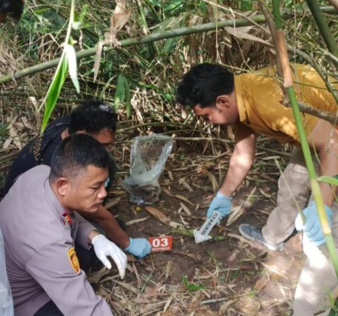Kronologi Penemuan Tengkorak Manusia di Kebun Sawit Kecamatan Peranap