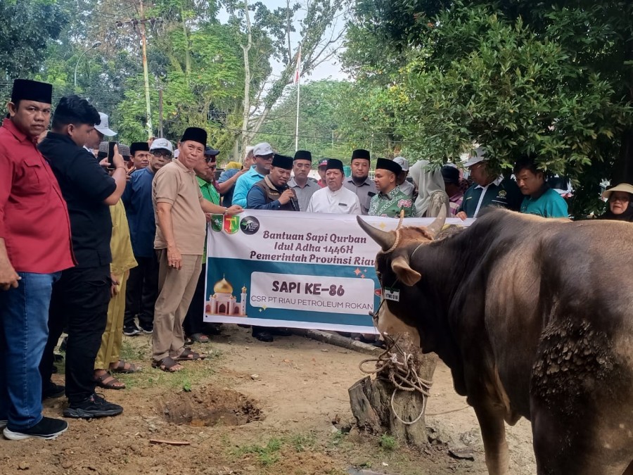 Gubri Wahid Serahkan 141 Hewan Kurban, MUI: Bentuk Kepedulian yang Luar Biasa