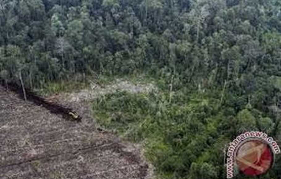 Sebanyak 312 Masalah Konflik Lahan di Riau  Bakal Dibahas di DPR RI