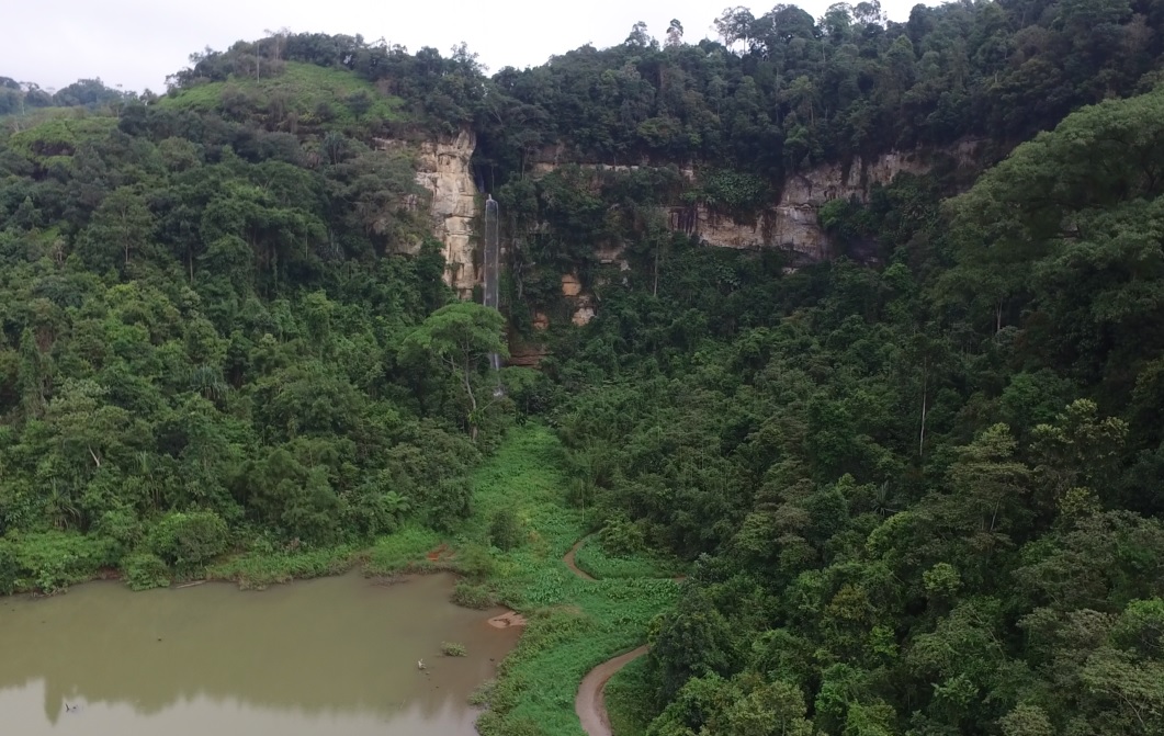 Hutan Alam Sumatera Barat Hilang 31 Ribu Hektare Sejak 2017