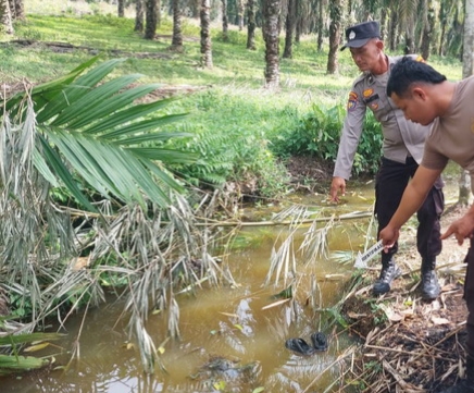 Bermain di Belakang Rumah, Bocah 2 Tahun Kehilangan Nyawa