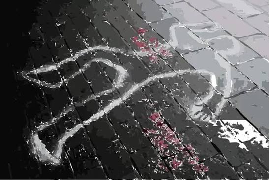 Romantisme Bulan Madu di Alahan Panjang Berujung Maut
