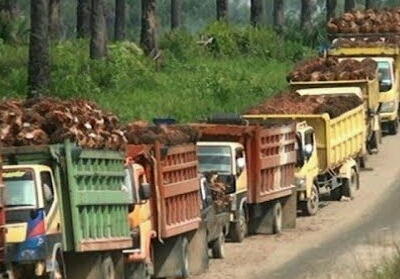 Jalan Rusak Akibat Truk Bertonase Besar, DPRD Riau akan Panggil Seluruh Perusaan Sawit