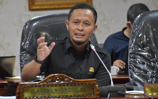 DPRD Undang Dinkes se-Riau Bahas Kesiapan Faskes Covid-19