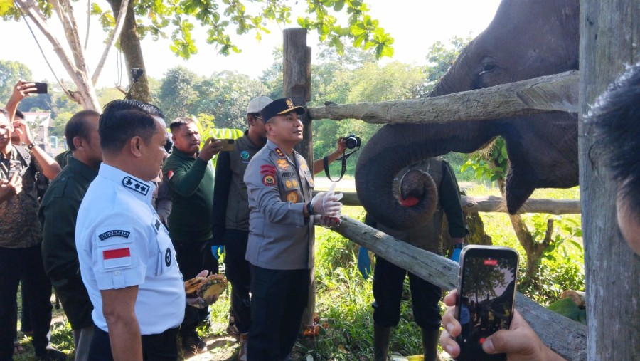Wabup Pelalawan Dampingi Kapolda Riau Kunjungi Bayi Gajah di Tesso Nilo