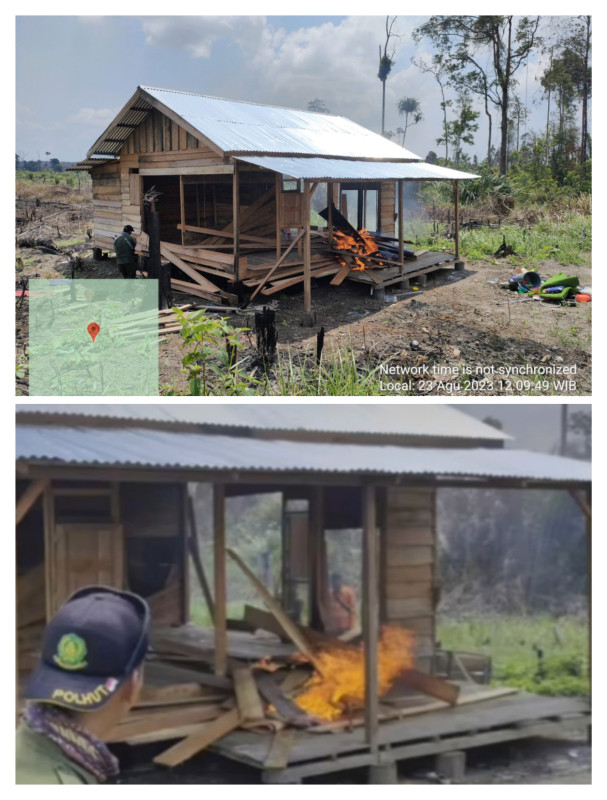Petugas Balai TNTN Bakar 3 Pondok Warga di Taman Nasional Tesso Nilo
