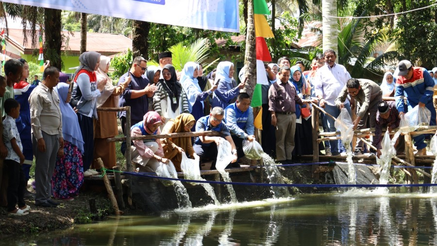 PHR Dorong Ekonomi Masyarakat Minas melalui Sektor Perikanan Berbasis Akuaponik