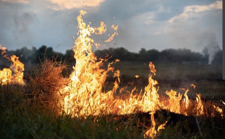 BMKG Catat 35 Hotspot di Riau, Rokan Hilir Terbanyak