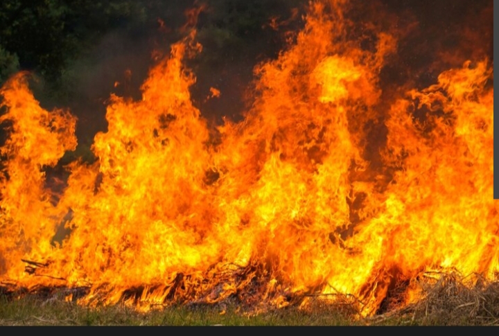 BMKG: Potensi Karhutla 2026 Diprediksi Lebih Berat, Curah Hujan di Bawah Normal