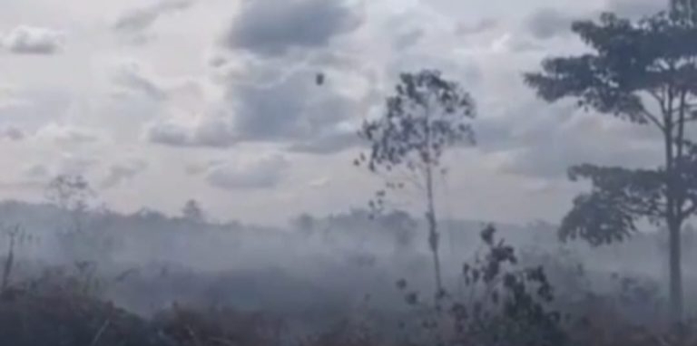 Karhutla di Dumai Hanguskan 15 Hektare Lahan