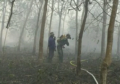 Atasi Kebakaran Lahan Gambut di Bengkalis, Warga Bantu Padamkan Api