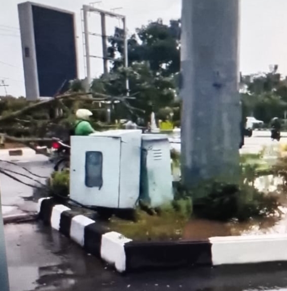 Angin Kencang Terjang Bagansiapiapi, 40 Pohon Tumbang dan Fasilitas Rusak