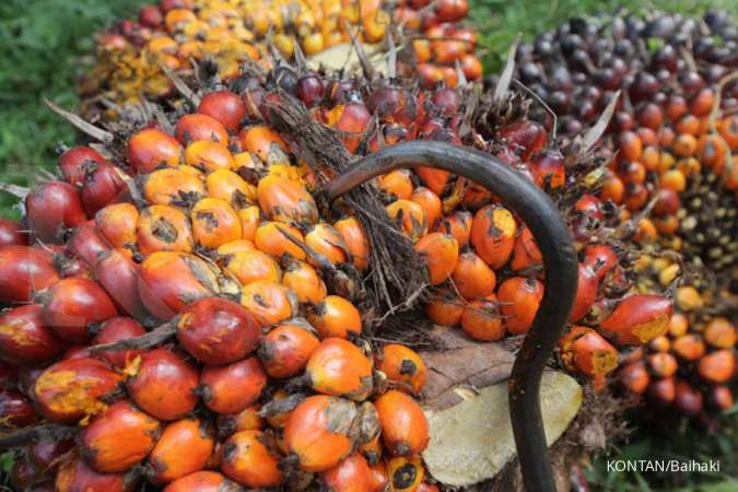 Dikabarkan Bisa Tangkal Covid-19, Harga CPO Menguat Tipis