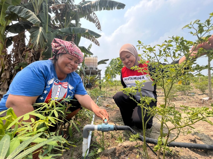 Atasi Tantangan Air Saat Kemarau, PHR Hadirkan Solusi Irigas Tetes Bagi Kelompok Tani Perawang