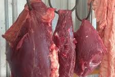 Permintaan Daging Sapi di Pekanbaru Meningkat