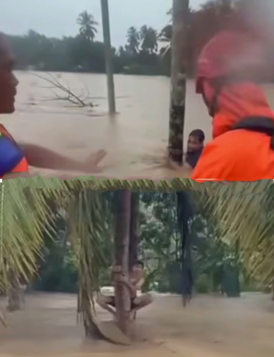 Heroik! Tim SAR Selamatkan Korban Banjir di Aceh yang Bertahan di Pohon Kelapa
