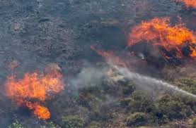 Sumatera Dikepung 236 Titik Panas, Riau Tak Luput dari Hotspot