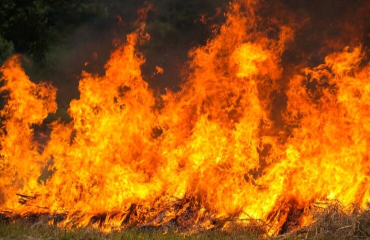 Water Bombing Dikerahkan Padamkan Kebakaran Lahan di Kerumutan