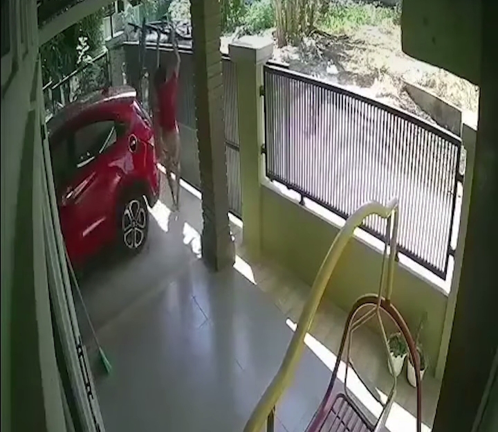 Viral Pencurian Sepeda di Pekanbaru Gunakan Mobil Avanza