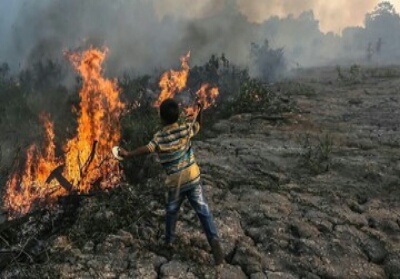 Nyaris Bakar Rumah Warga, Tiga KK Dievakuasi untuk Hindari Api Karhutla yang Menjalar ke Pemukiman