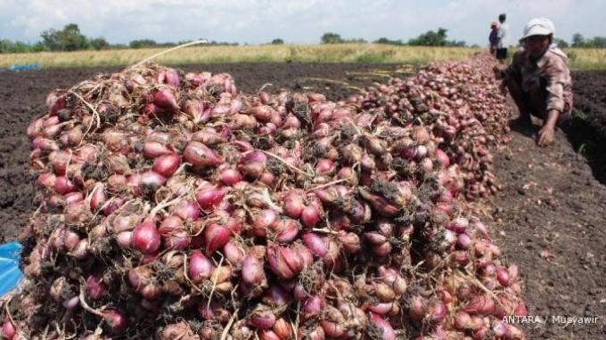Kenaikan Harga Bawang Merah Diprediksi Berlanjut sampai Juli 