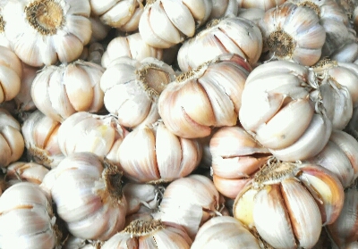 100 Ribu Ton Bawang Putih akan Diimpor Pemerintah dari China