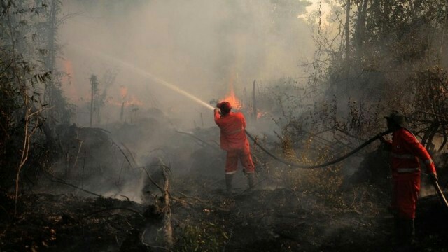 Jokowi Sebut Pemerintah Sudah Kerahkan Segala Upaya Tangani Karhutla di Riau