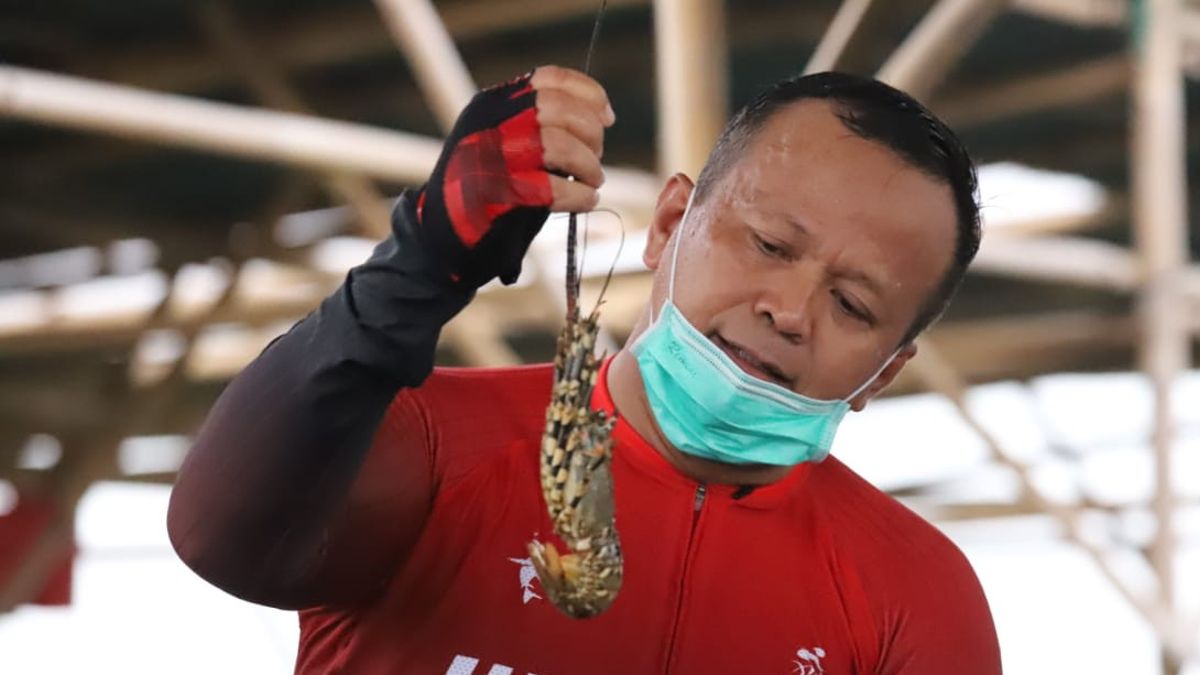Menteri Kelautan dan Perikanan Edhy Prabowo Dikabarkan Positif COvid