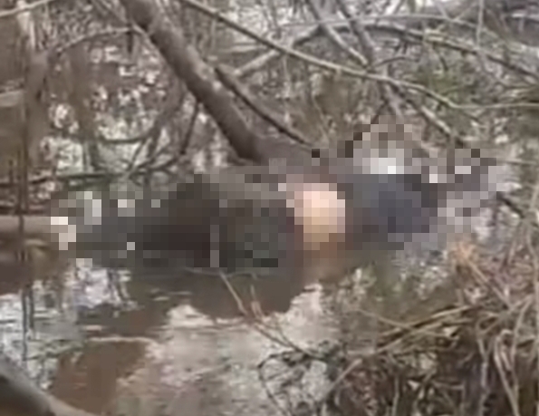 Mayat Mr X Mengambang di Sungai Siak Dekat Pulau Semut Okura