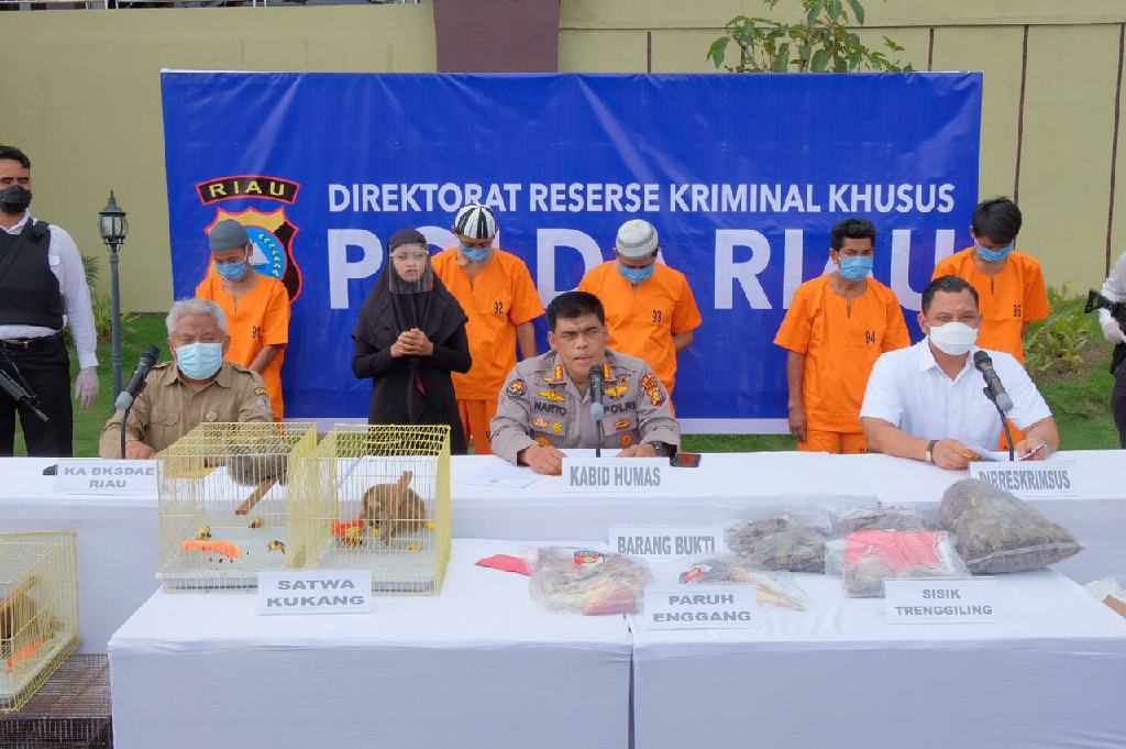 Polda Riau Bongkar Sindikat Penjualan Organ Satwa Dilindungi