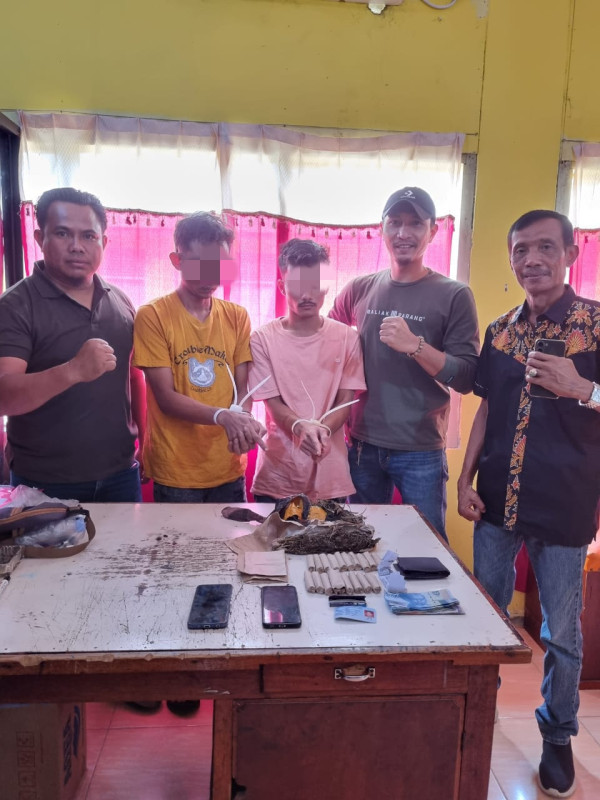 Pengedar Daun Ganja Digerebek Polisi di Kontrakan Lipat Kain