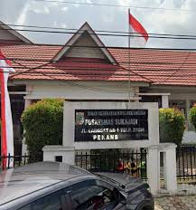 Pemeriksaan Kesehatan Gratis di Pekanbaru Dimulai Hari Ini