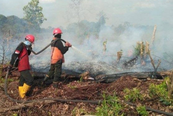 Sejak Januari 2023, Total 956 Hektare Lahan di Riau Terbakar